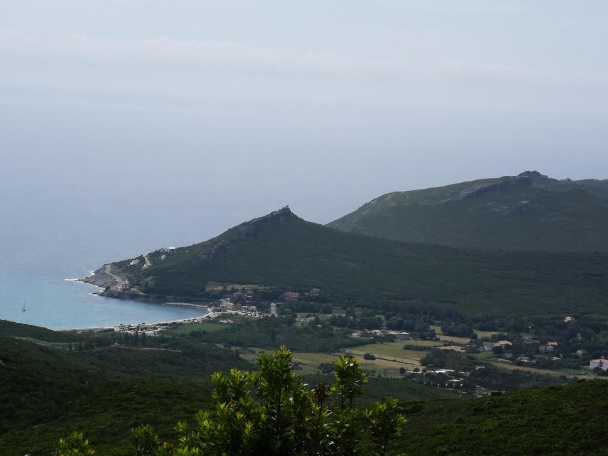 Maison De Village A 2 Km De La Mer Sisco Cap Corse 15 Kms Bastia Buitenkant foto