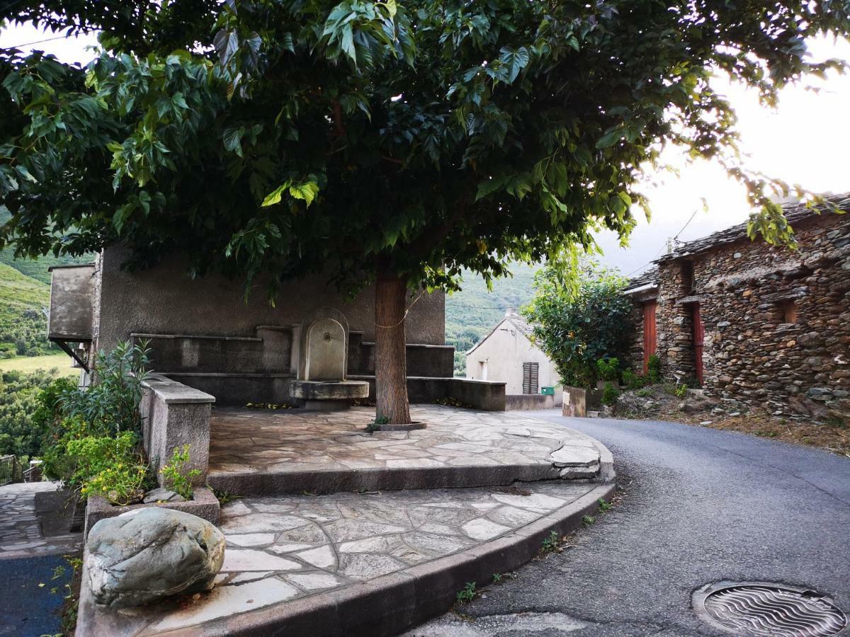 Maison De Village A 2 Km De La Mer Sisco Cap Corse 15 Kms Bastia Buitenkant foto